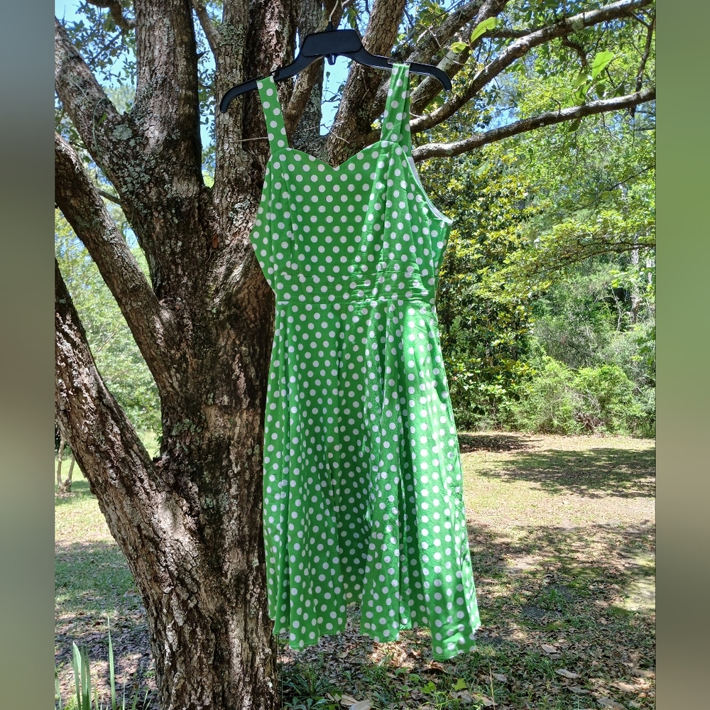Green Polka Dot Dress by Glitz Glam & Rebellion
